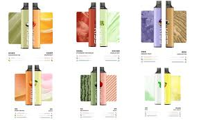 凱斯 KIS5 6500口磁吸式拋棄式電子煙|自由拼接雙口味 17款現貨(图1)